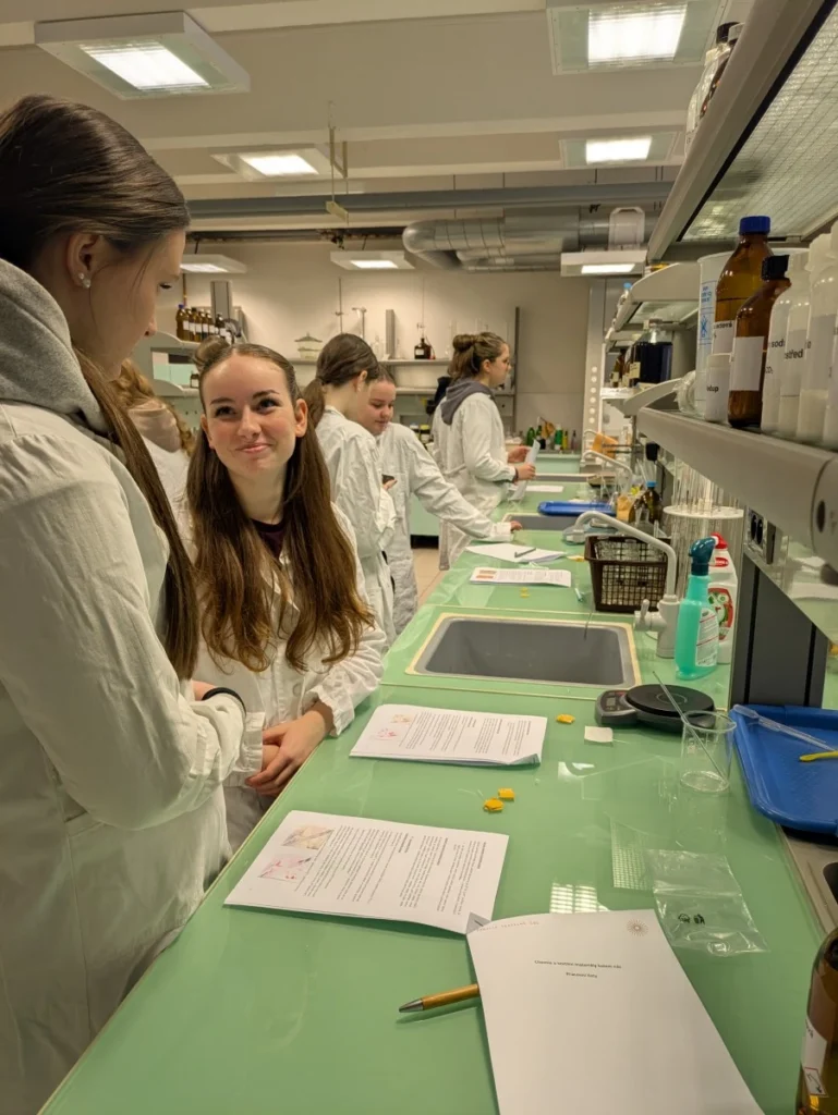 laboratore tul 2a 04